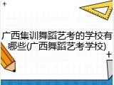 广西集训舞蹈艺考的学校有哪些(广西舞蹈艺考学校)