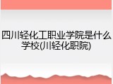 四川轻化工职业学院是什么学校(川轻化职院)