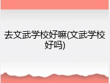 去文武学校好嘛(文武学校好吗)
