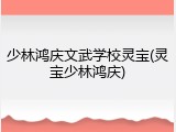 少林鸿庆文武学校灵宝(灵宝少林鸿庆)