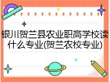 银川贺兰县农业职高学校读什么专业(贺兰农校专业)