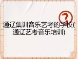 通辽集训音乐艺考的学校(通辽艺考音乐培训)