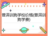 普洱训狗学校价格(普洱训狗学费)