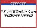 昆明冶金高等专科学校大专专业(昆冶专大专专业)