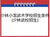 少林小龙武术学校招生条件(少林武校招生)