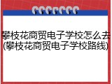 攀枝花商贸电子学校怎么去(攀枝花商贸电子学校路线)