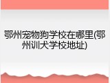 鄂州宠物狗学校在哪里(鄂州训犬学校地址)