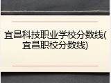宜昌科技职业学校分数线(宜昌职校分数线)