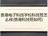 贵港电子科技学校科技班怎么样(贵港科技班如何)