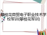 攀枝花商贸电子职业技术学校军训(攀枝花军训)