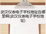 武汉仪表电子学校地址在哪里啊(武汉仪表电子学校地址)
