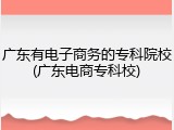 广东有电子商务的专科院校(广东电商专科校)