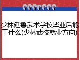 少林延鲁武术学校毕业后能干什么(少林武校就业方向)