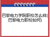 巴黎电力学院职校怎么样(巴黎电力职校如何)