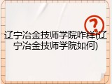 辽宁冶金技师学院咋样(辽宁冶金技师学院如何)