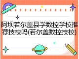 阿坝若尔盖县学数控学校推荐技校吗(若尔盖数控技校)