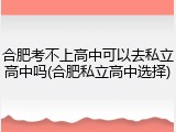合肥考不上高中可以去私立高中吗(合肥私立高中选择)
