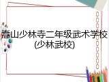 嵩山少林寺二年级武术学校(少林武校)