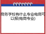 商务学校有什么专业电商可以报(电商专业)