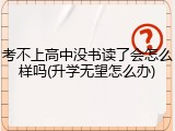考不上高中没书读了会怎么样吗(升学无望怎么办)