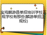 宝鸡麟游县单招培训学校正规学校有那些(麟游单招正规校)