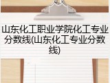 山东化工职业学院化工专业分数线(山东化工专业分数线)