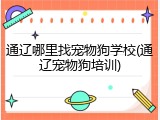 通辽哪里找宠物狗学校(通辽宠物狗培训)
