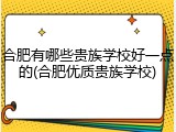 合肥有哪些贵族学校好一点的(合肥优质贵族学校)