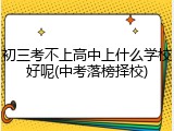 初三考不上高中上什么学校好呢(中考落榜择校)