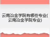 云南冶金学院有哪些专业(云南冶金学院专业)