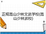 正规嵩山少林文武学校(嵩山少林武校)