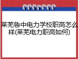 莱芜鲁中电力学校职高怎么样(莱芜电力职高如何)