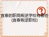 宜春的职高叛逆学校有哪些(宜春叛逆职校)
