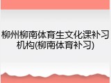 柳州柳南体育生文化课补习机构(柳南体育补习)