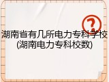 湖南省有几所电力专科学校(湖南电力专科校数)