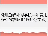 柳州鱼峰补习学校一年费用多少钱(柳州鱼峰补习学费)