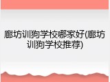 廊坊训狗学校哪家好(廊坊训狗学校推荐)