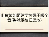 山东鲁能足球学校属于哪个省(鲁能足校归属地)