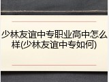 少林友谊中专职业高中怎么样(少林友谊中专如何)