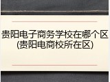 贵阳电子商务学校在哪个区(贵阳电商校所在区)