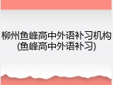 柳州鱼峰高中外语补习机构(鱼峰高中外语补习)