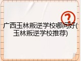 广西玉林叛逆学校哪间好(玉林叛逆学校推荐)