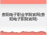 贵阳电子职业学院官网(贵阳电子职院官网)