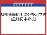 柳州鱼峰初中课外补习学校(鱼峰初中补校)