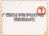 广西财经学院学校好吗(广西财院如何)