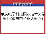 重庆电子科技职业技术大学好吗(重庆电子职大好不)