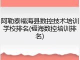 阿勒泰福海县数控技术培训学校排名(福海数控培训排名)