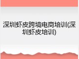 深圳虾皮跨境电商培训(深圳虾皮培训)