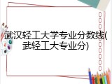 武汉轻工大学专业分数线(武轻工大专业分)