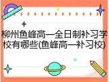 柳州鱼峰高一全日制补习学校有哪些(鱼峰高一补习校)